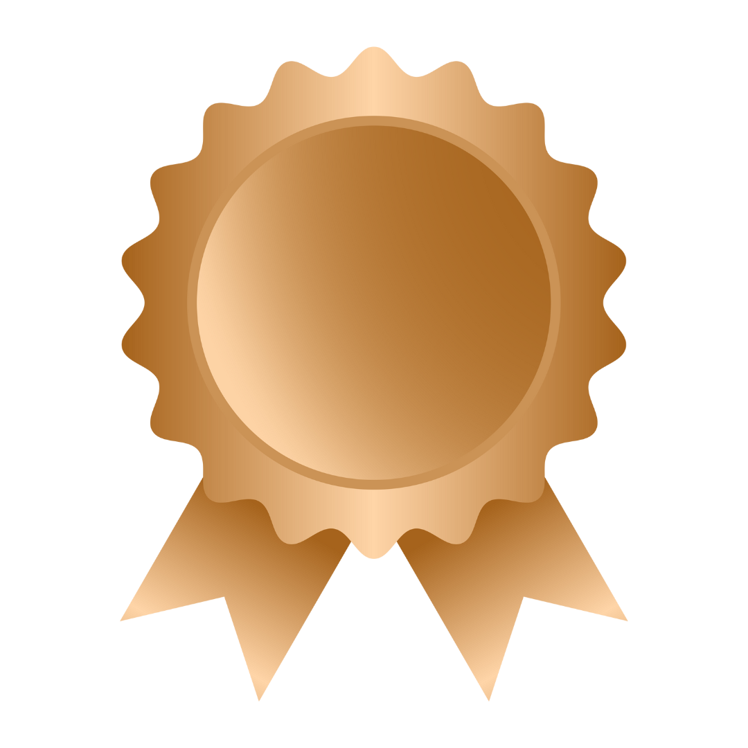 Bronze Level
