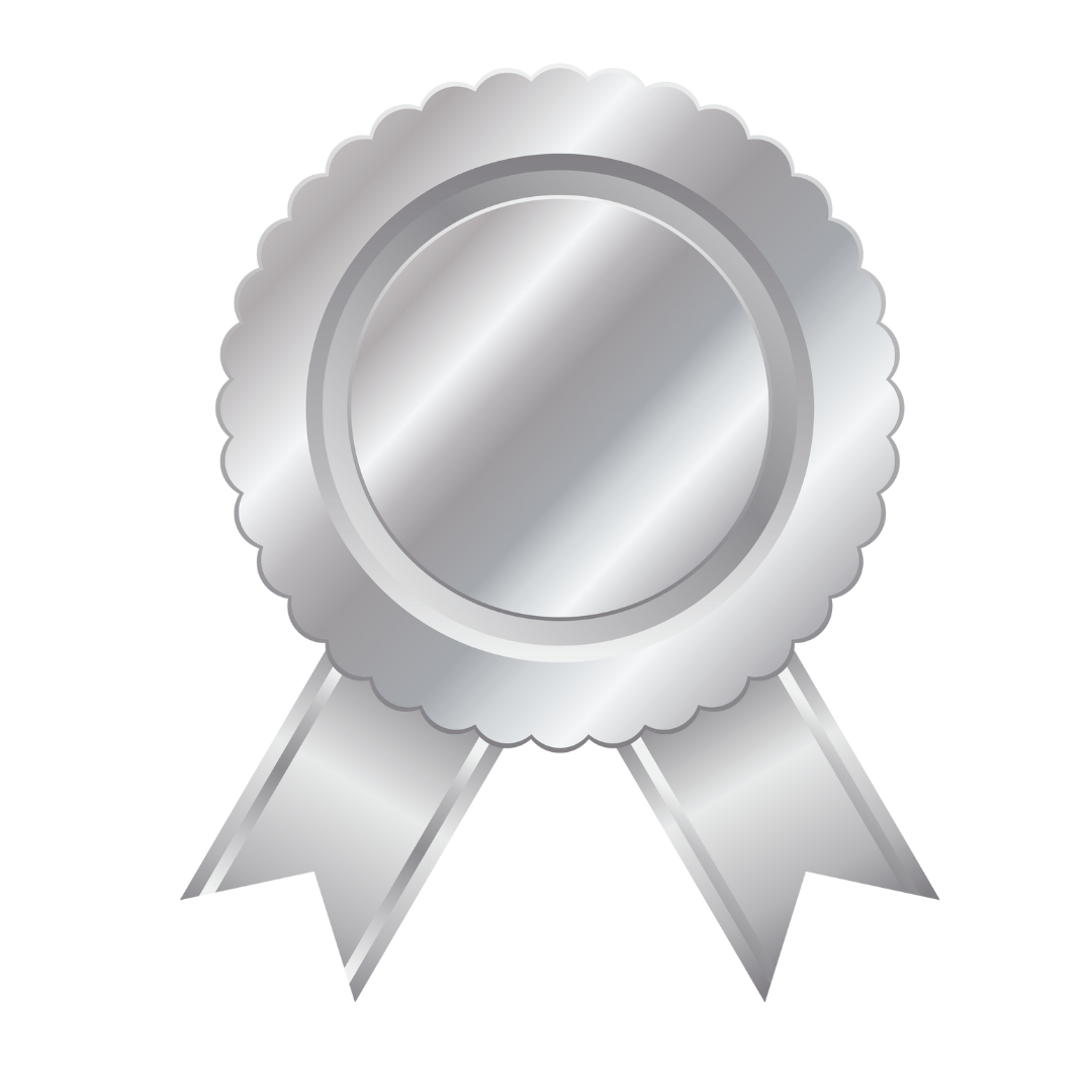 Silver Level